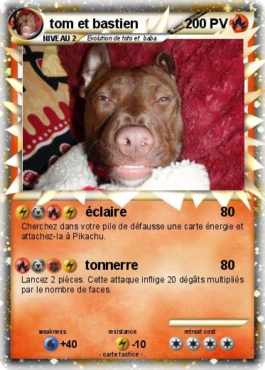 Pokemon tom et bastien