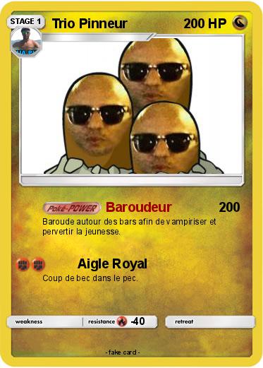 Pokemon Trio Pinneur