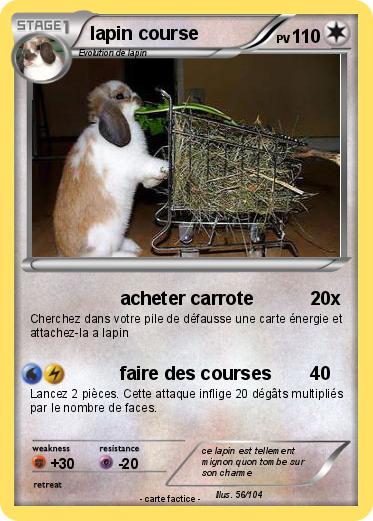 Pokemon lapin course