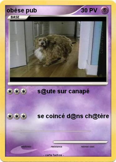 Pokemon obèse pub