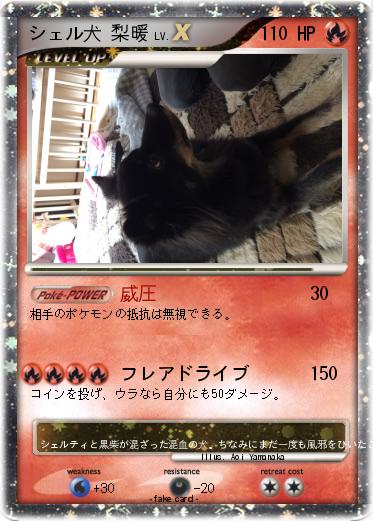 Pokemon シェル犬 梨暖