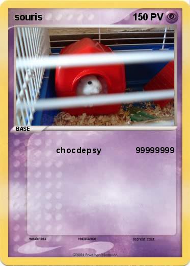 Pokemon souris