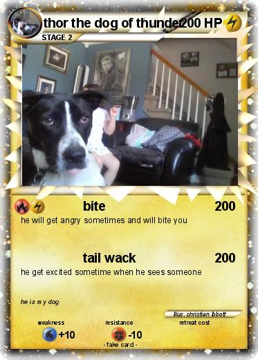 Pokemon thor the dog of thunder