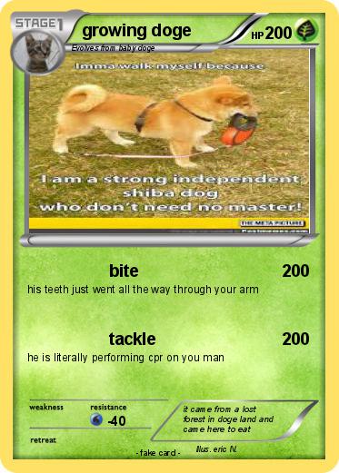 Pokemon growing doge