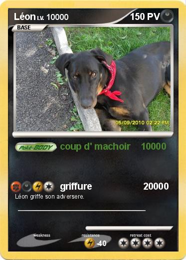 Pokemon Léon