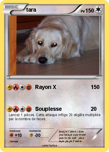 Pokemon tara