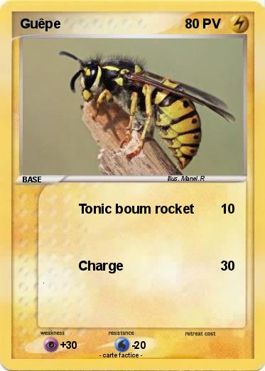 Pokemon Guêpe