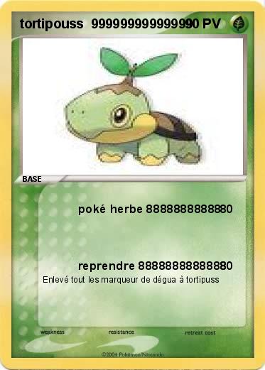 Pokemon tortipouss  99999999999999