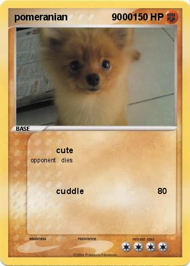 Pokemon pomeranian                 9000