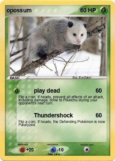 Pokemon opossum