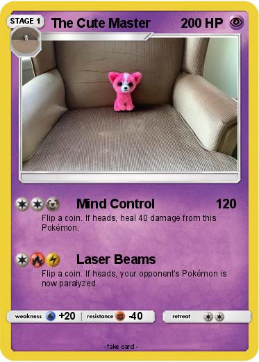 Pokemon The Cute Master