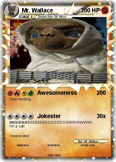 Pokemon Mr. Wallace