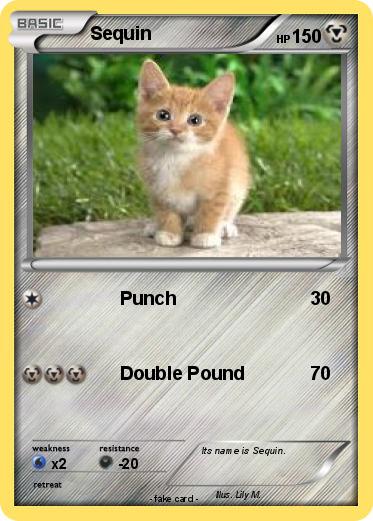Pokemon Sequin