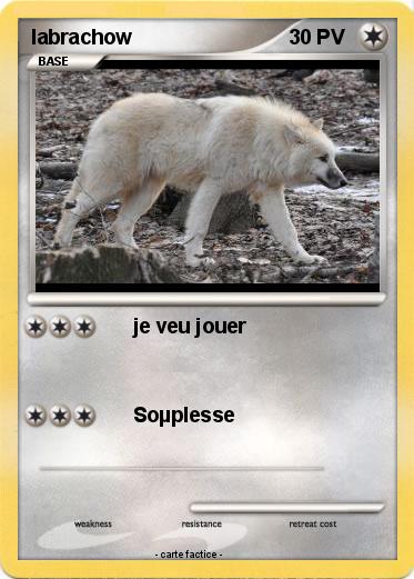 Pokemon labrachow