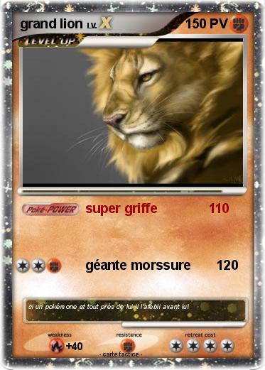 Pokemon grand lion
