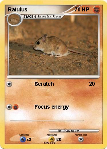 Pokemon Ratulus