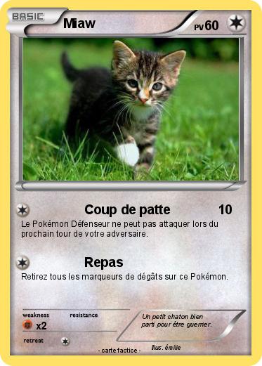 Pokemon Miaw