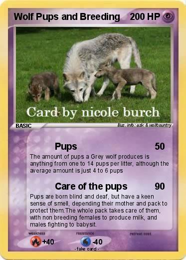 Pokemon Wolf Pups and Breeding