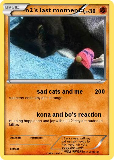 Pokemon n2's last moment:(