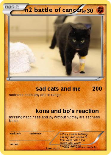 Pokemon n2 battle of cancer