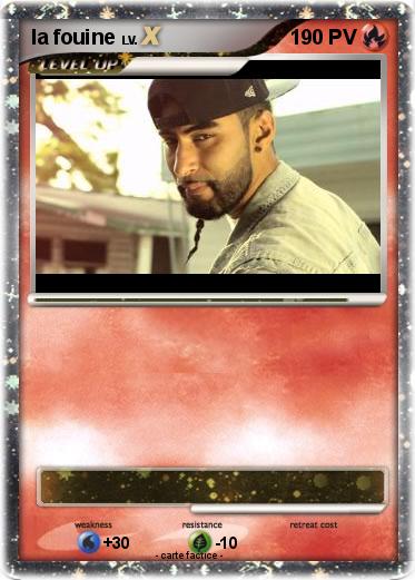 Pokemon la fouine