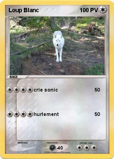 Pokemon Loup Blanc