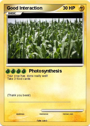 Pokemon Good Interaction