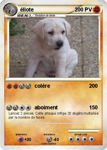 Pokemon éliote