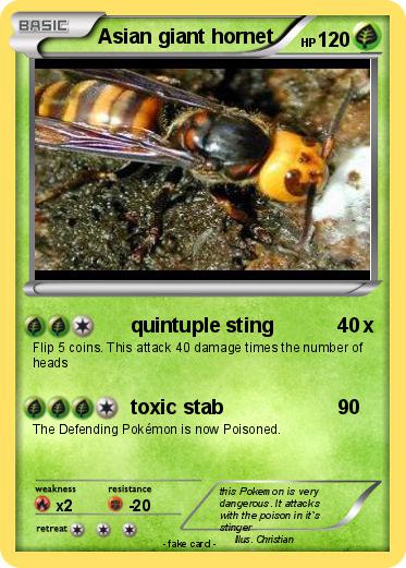 Pokemon Asian giant hornet