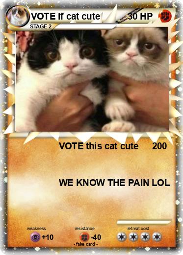 Pokemon VOTE if cat cute