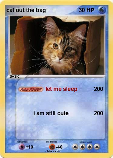 Pokemon cat out the bag