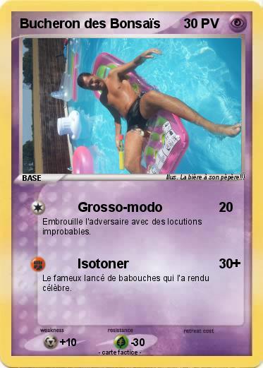 Pokemon Bucheron des Bonsaïs