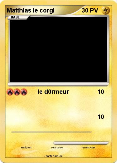 Pokemon Matthias le corgi