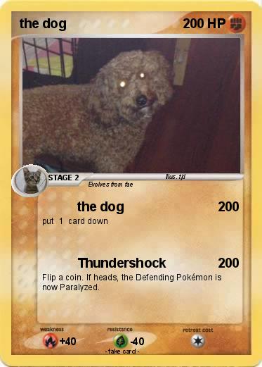 Pokemon the dog
