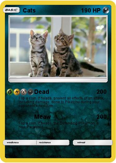 Pokemon Cats