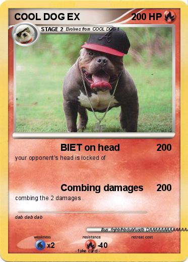 Pokemon COOL DOG EX