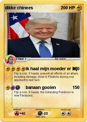 Pokemon dikke chinees