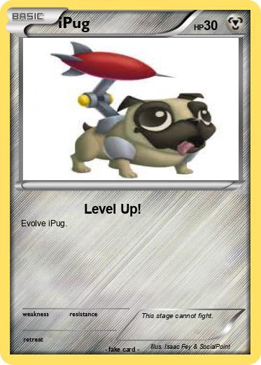 Pokemon iPug