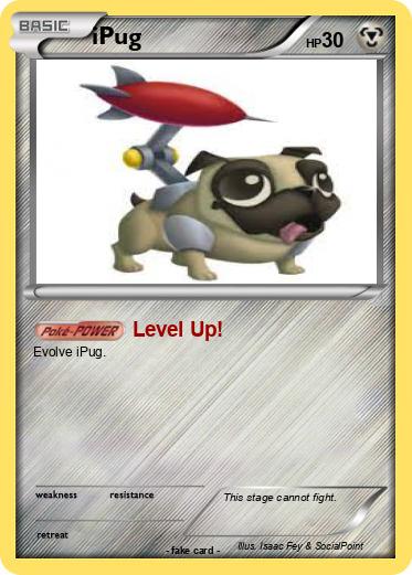Pokemon iPug