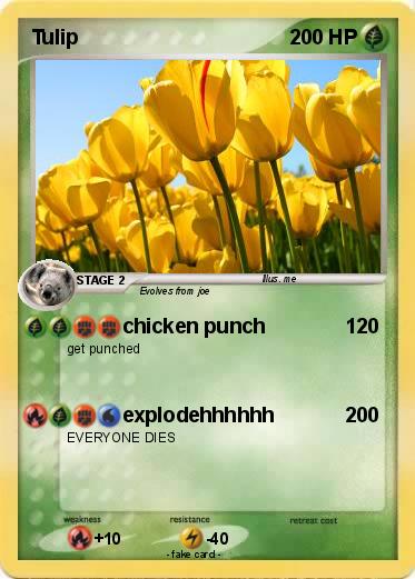 Pokemon Tulip