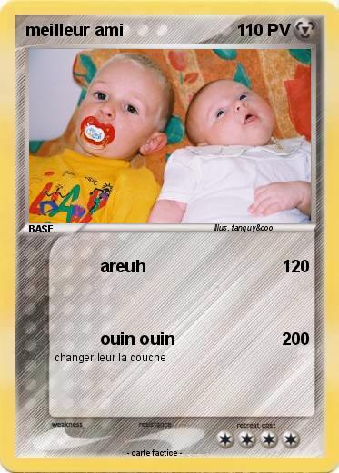 Pokemon meilleur ami