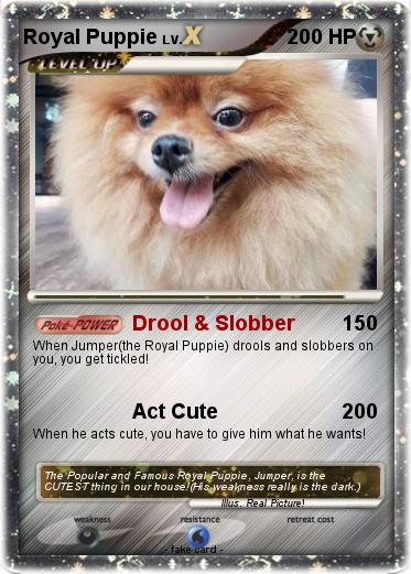 Pokemon Royal Puppie