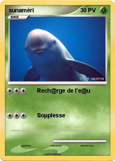 Pokemon sunaméri