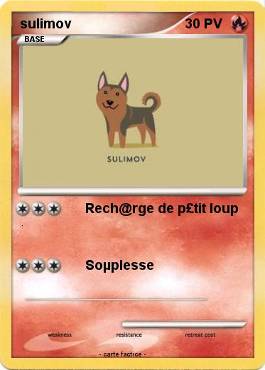 Pokemon sulimov