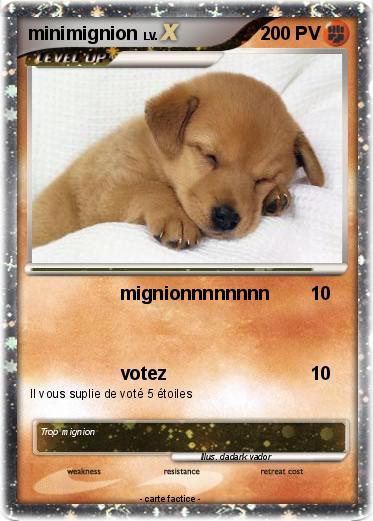 Pokemon minimignion