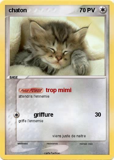 Pokemon chaton