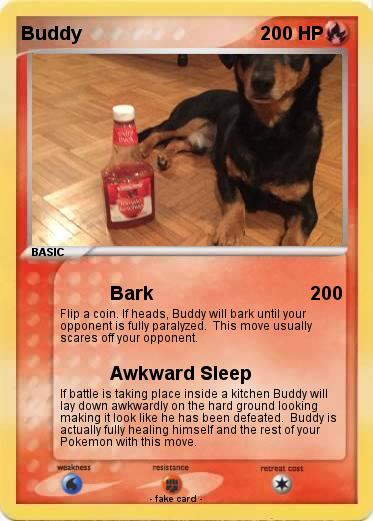 Pokemon Buddy