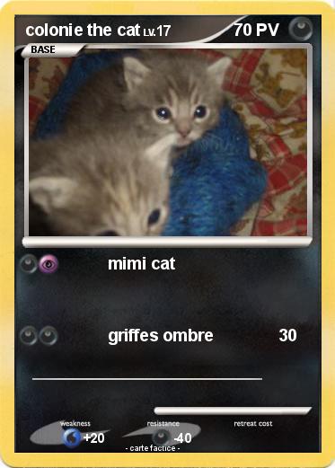 Pokemon colonie the cat