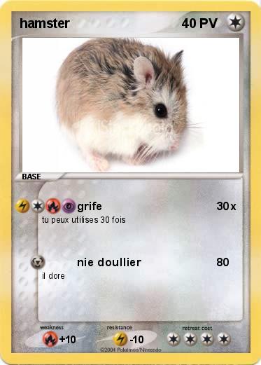 Pokemon hamster