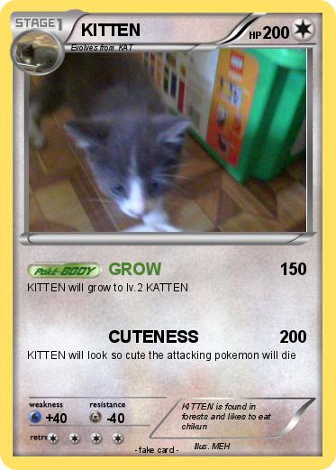 Pokemon KITTEN